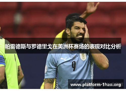 帕雷德斯与罗德里戈在美洲杯赛场的表现对比分析 帕雷德斯与罗德里戈在美洲杯赛场的表现对比分析