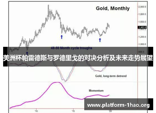 美洲杯帕雷德斯与罗德里戈的对决分析及未来走势展望 美洲杯帕雷德斯与罗德里戈的对决分析及未来走势展望