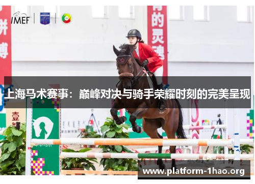 上海马术赛事：巅峰对决与骑手荣耀时刻的完美呈现
