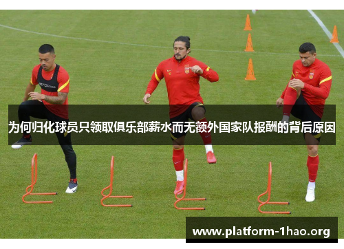 为何归化球员只领取俱乐部薪水而无额外国家队报酬的背后原因 为何归化球员只领取俱乐部薪水而无额外国家队报酬的背后原因