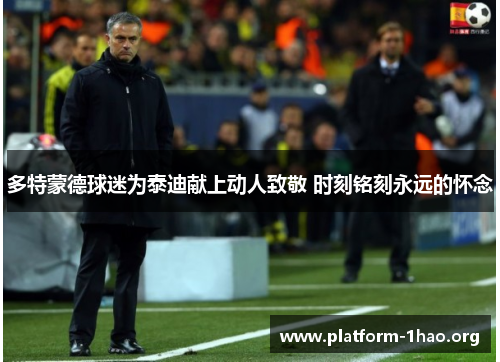 多特蒙德球迷为泰迪献上动人致敬 时刻铭刻永远的怀念 多特蒙德球迷为泰迪献上动人致敬 时刻铭刻永远的怀念