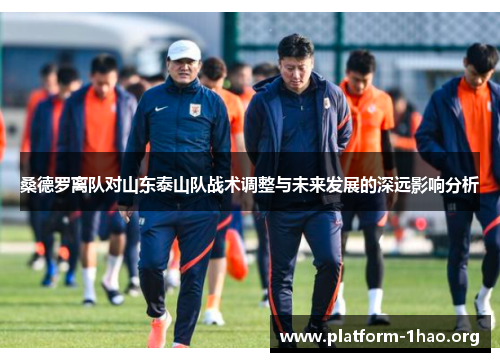 桑德罗离队对山东泰山队战术调整与未来发展的深远影响分析 桑德罗离队对山东泰山队战术调整与未来发展的深远影响分析