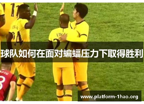 球队如何在面对蝙蝠压力下取得胜利 球队如何在面对蝙蝠压力下取得胜利