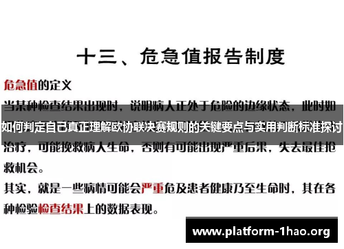 如何判定自己真正理解欧协联决赛规则的关键要点与实用判断标准探讨 如何判定自己真正理解欧协联决赛规则的关键要点与实用判断标准探讨